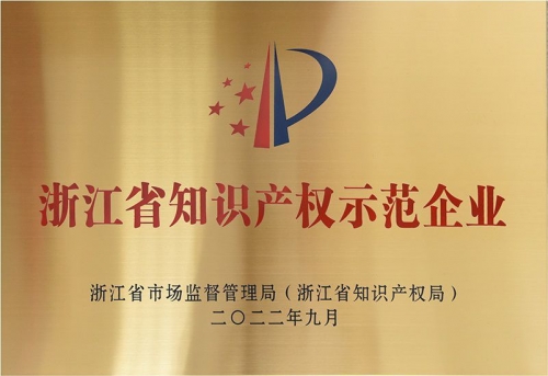 浙江省知識(shí)產(chǎn)權(quán)示范企業(yè)